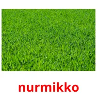 nurmikko picture flashcards