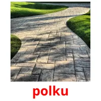 polku picture flashcards