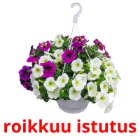 roikkuu istutus picture flashcards