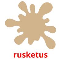 rusketus flashcards illustrate