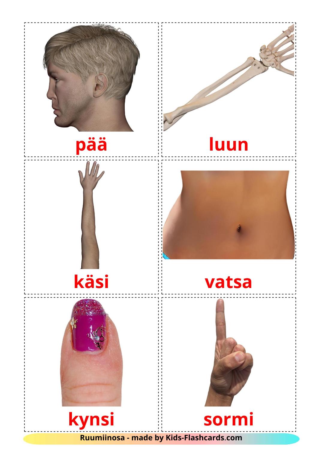 Body Parts - 26 Free Printable finnish Flashcards 