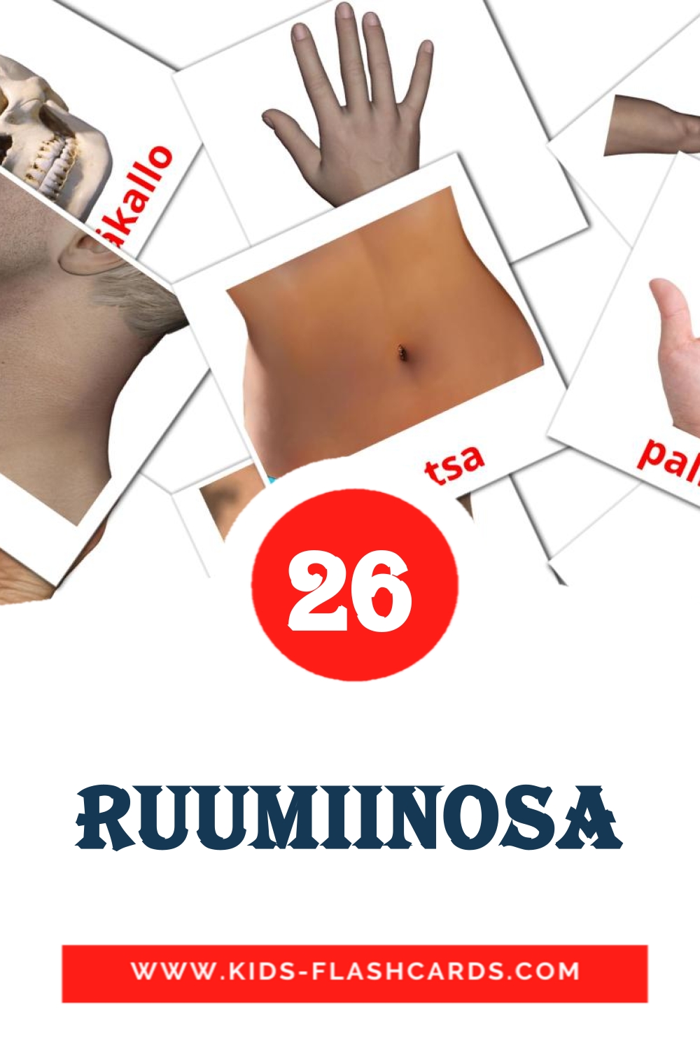 26 Ruumiinosa Picture Cards for Kindergarden in finnish