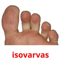 isovarvas cartões com imagens