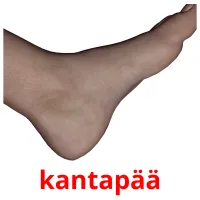 kantapää cartões com imagens