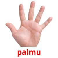 palmu card for translate
