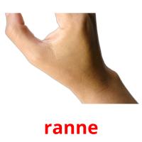 ranne picture flashcards
