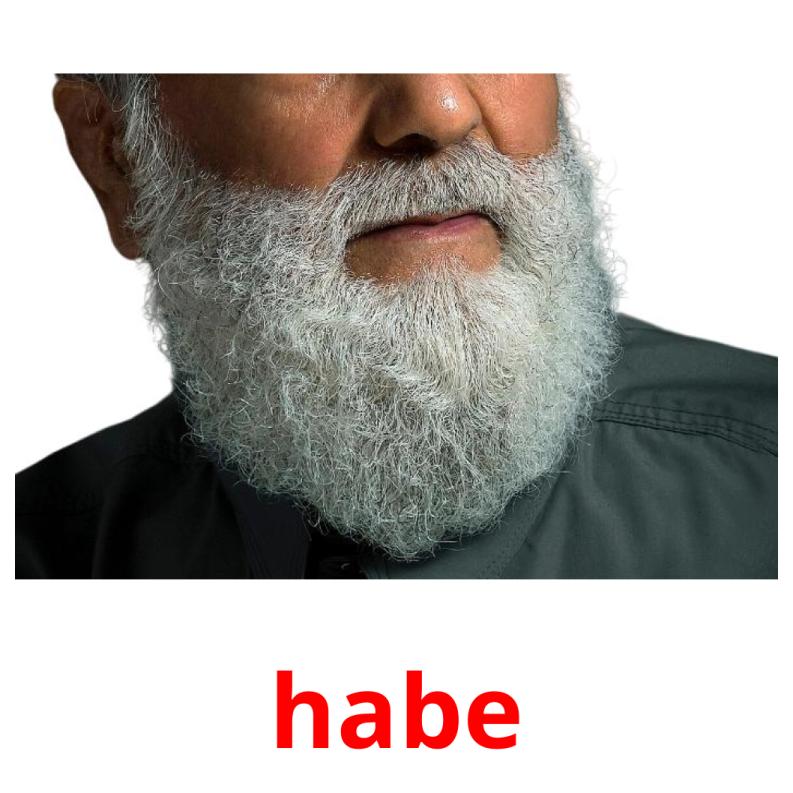 habe picture flashcards