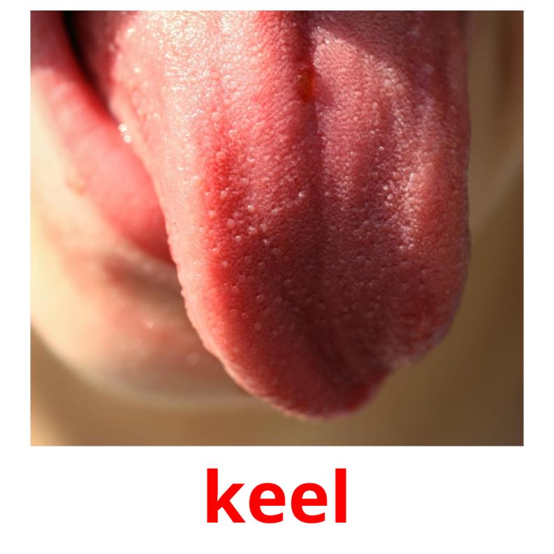 keel picture flashcards