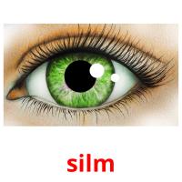 silm picture flashcards
