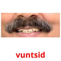 vuntsid cartões com imagens