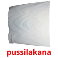 pussilakana picture flashcards