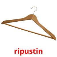 ripustin picture flashcards