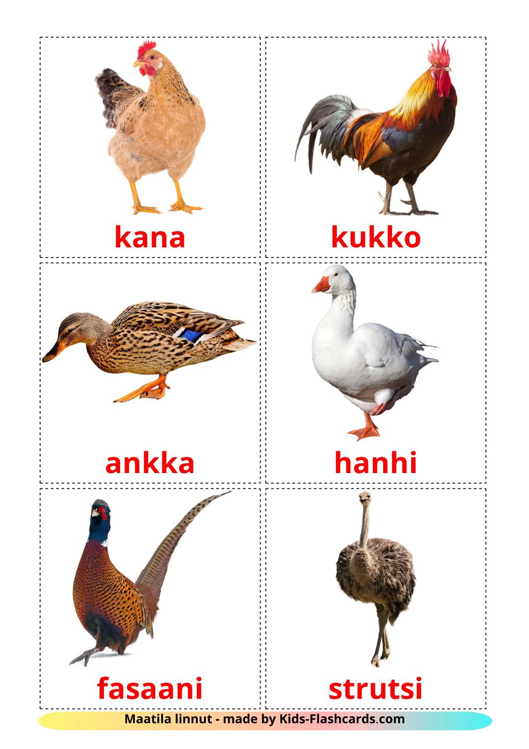 Les Oiseaux de Ferme - 11 Flashcards finlandais imprimables gratuitement