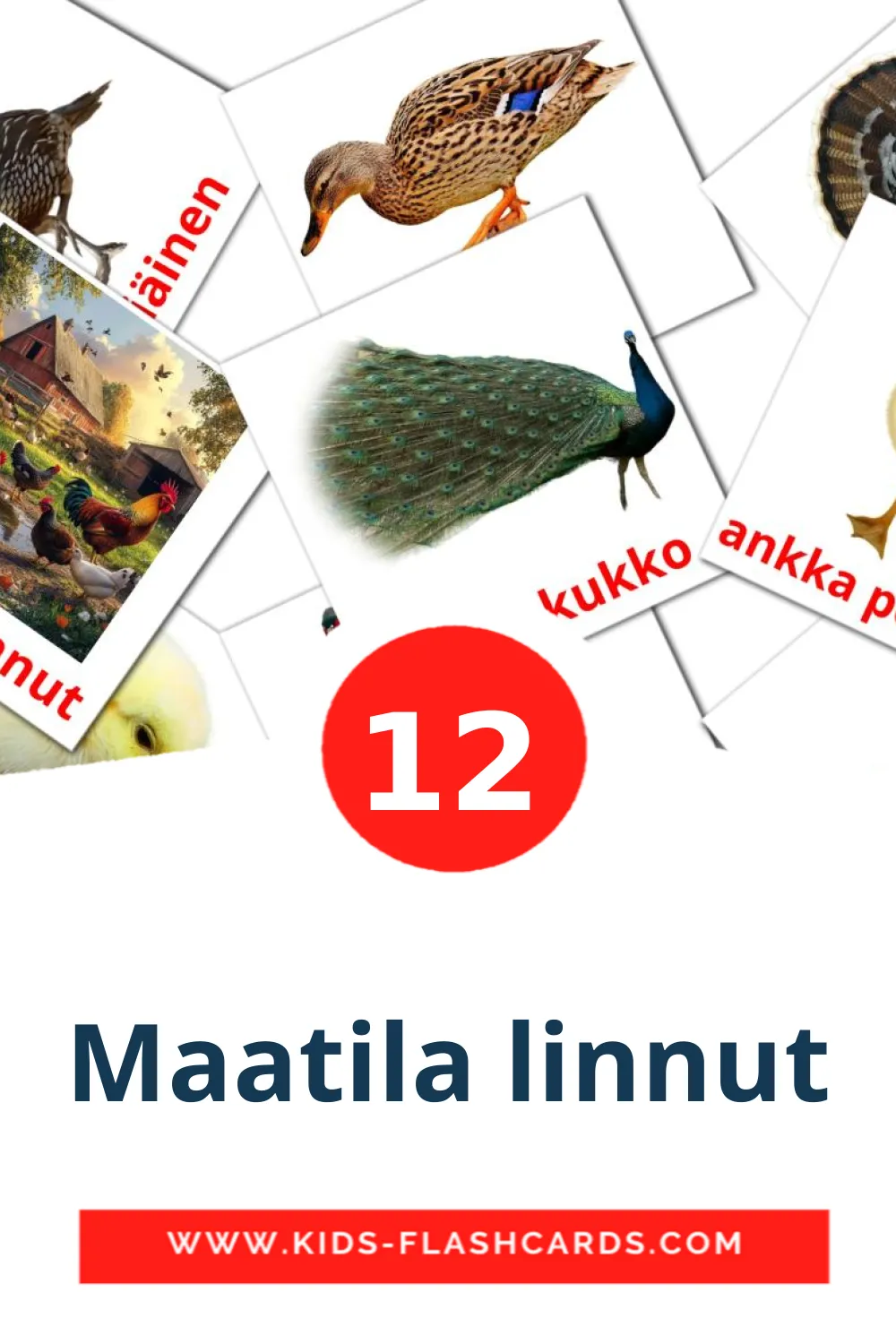 12 Maatila linnut fotokaarten voor kleuters in het finse