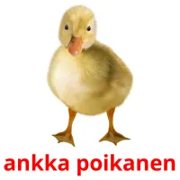 ankka poikanen ansichtkaarten