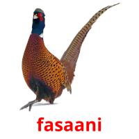 fasaani flashcards illustrate
