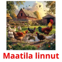 Maatila linnut ansichtkaarten