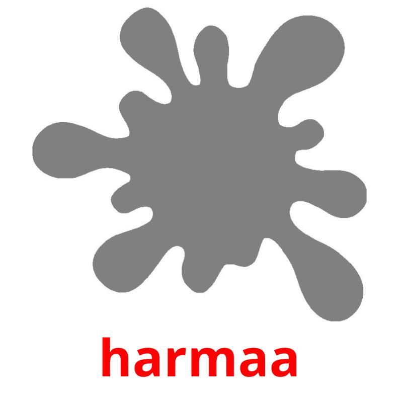 harmaa picture flashcards