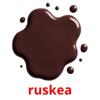 ruskea picture flashcards