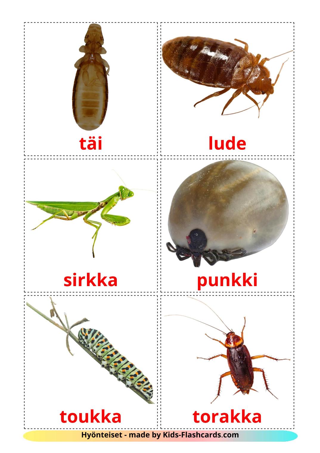 Les Insectes - 23 Flashcards finlandais imprimables gratuitement