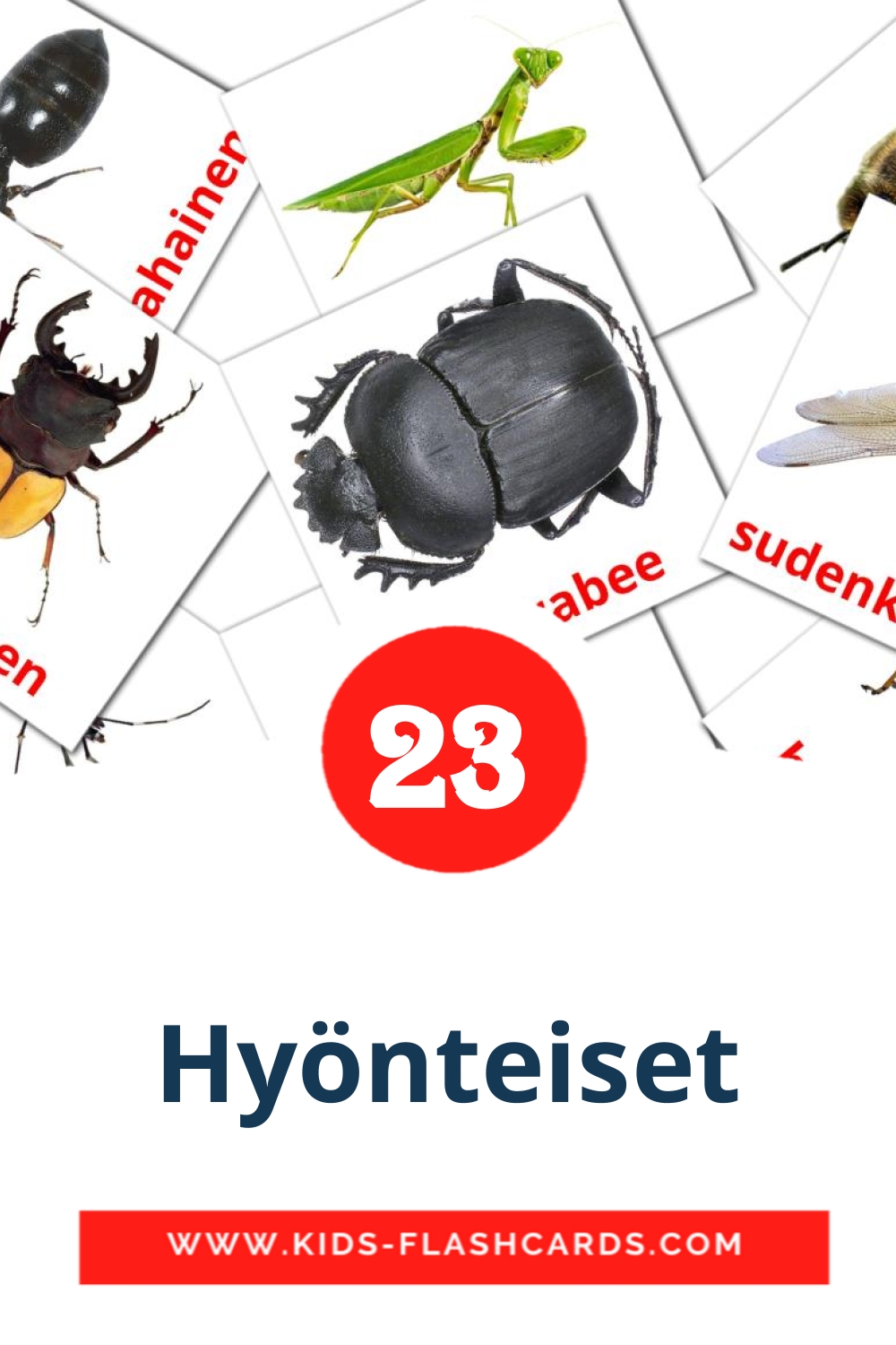 23 cartes illustrées de Hyönteiset pour la maternelle en finlandais