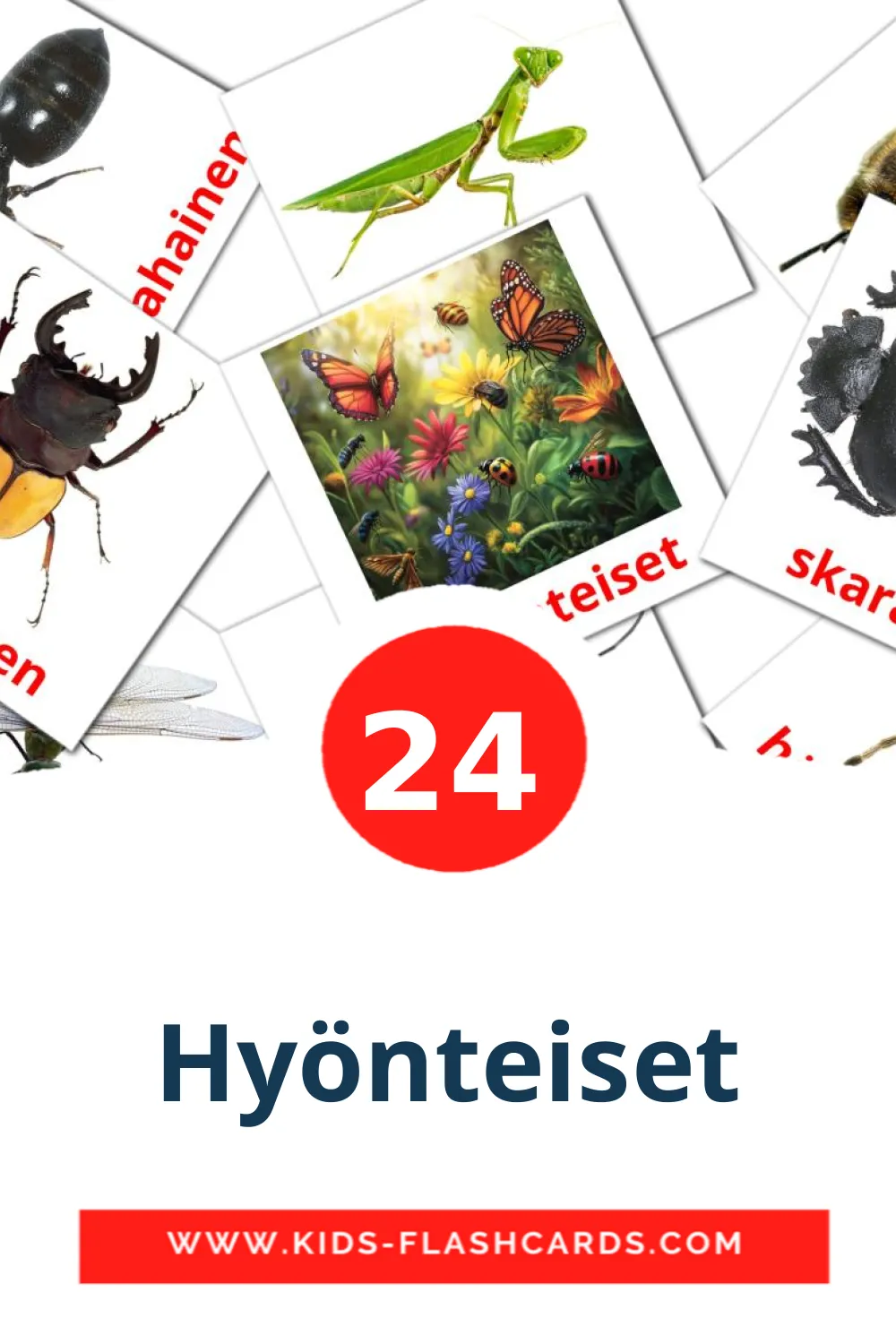 24 Hyönteiset Picture Cards for Kindergarden in finnish