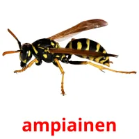 ampiainen ansichtkaarten