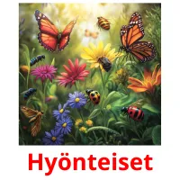 Hyönteiset ansichtkaarten