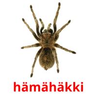 hämähäkki card for translate