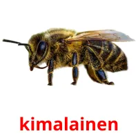 kimalainen ansichtkaarten