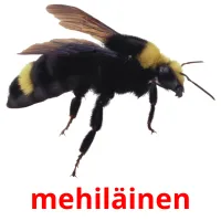 mehiläinen ansichtkaarten