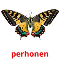 perhonen card for translate
