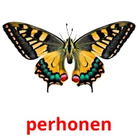 perhonen picture flashcards