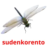 sudenkorento picture flashcards