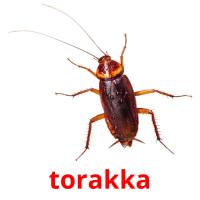 torakka picture flashcards