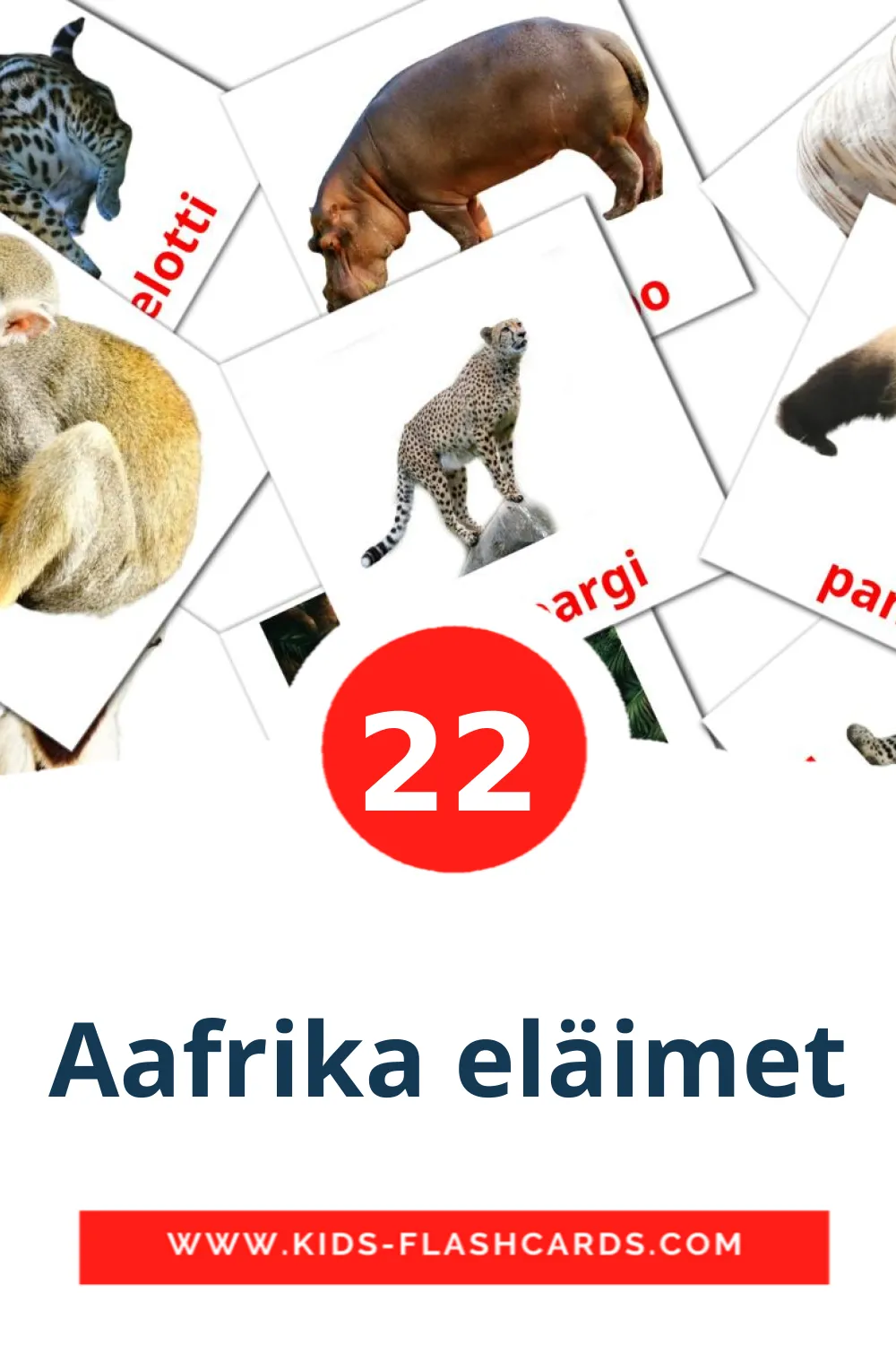 22 tarjetas didacticas de Aafrika eläimet para el jardín de infancia en finlandés