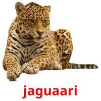 jaguaari picture flashcards