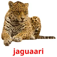 jaguaari Tarjetas didacticas