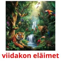 viidakon eläimet kuvakortit