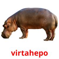 virtahepo picture flashcards