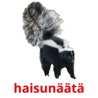 haisunäätä cartões com imagens