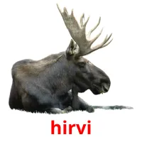 hirvi cartões com imagens