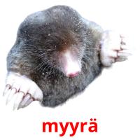 myyrä picture flashcards
