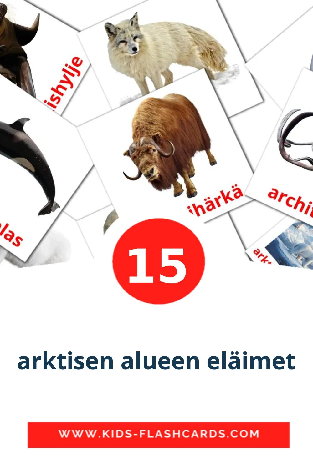 15 tarjetas didacticas de arktisen alueen eläimet para el jardín de infancia en finlandés