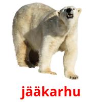 jääkarhu card for translate