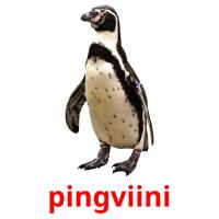 pingviini cartes flash