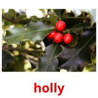 holly flashcards illustrate