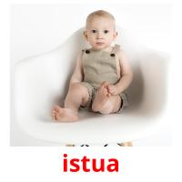 istua picture flashcards