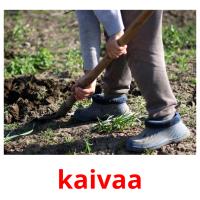 kaivaa picture flashcards