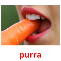 purra picture flashcards